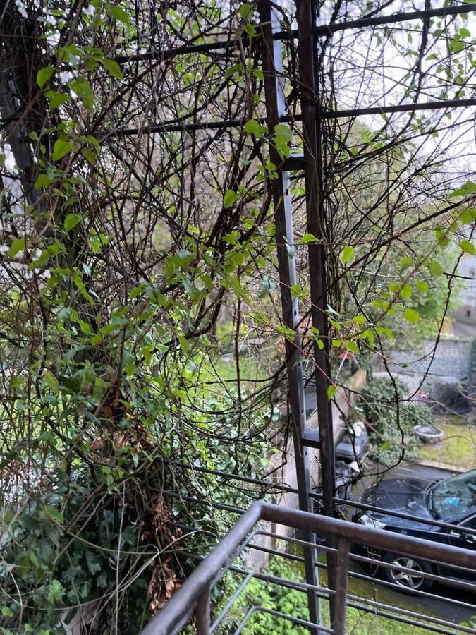 Schoene Wohnung In Zentraler Lage Im Ruhrgebiet Witten Buitenkant foto
